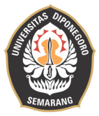 International Undergraduate Program